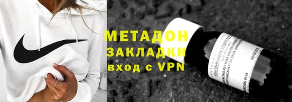 прущие грибы Богданович
