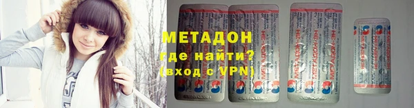прущие грибы Богданович