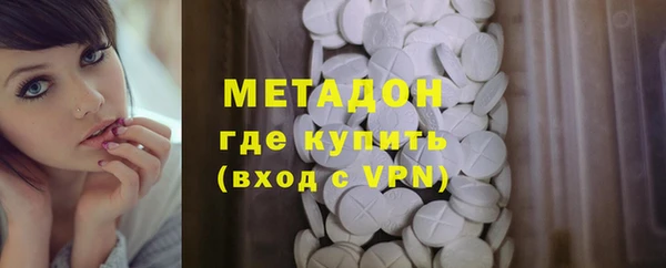 прущие грибы Богданович