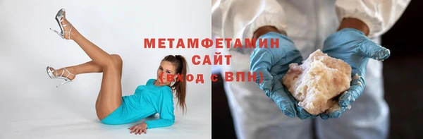прущие грибы Богданович