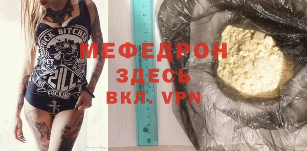 прущие грибы Богданович