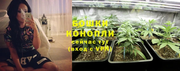 прущие грибы Богданович