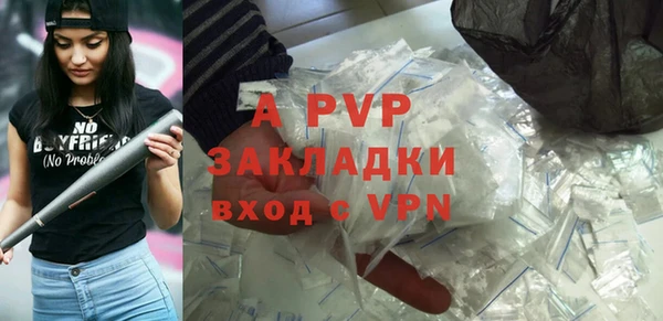 прущие грибы Богданович