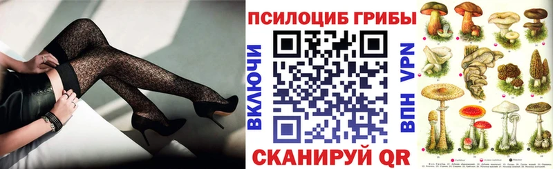 купить   Шахты  Псилоцибиновые грибы ЛСД 